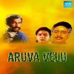 Aruva Velu (1996)